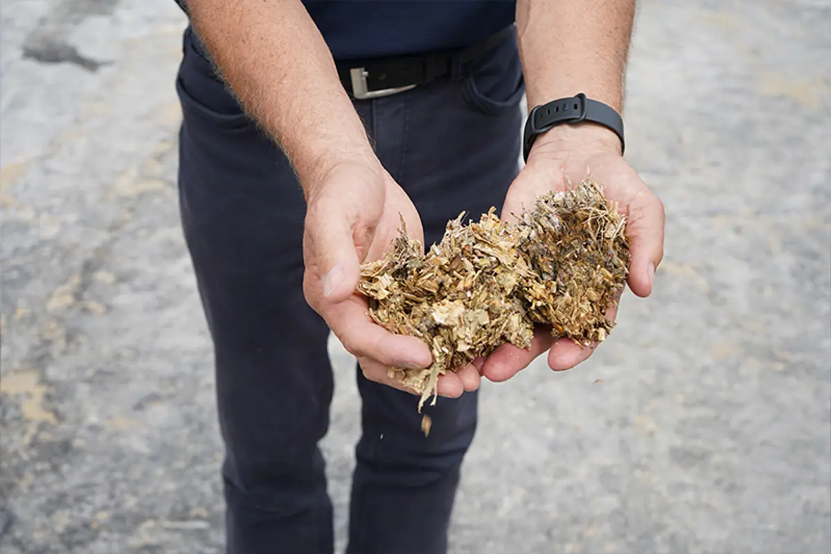 A person holds out dried woodchip in two hands. 
