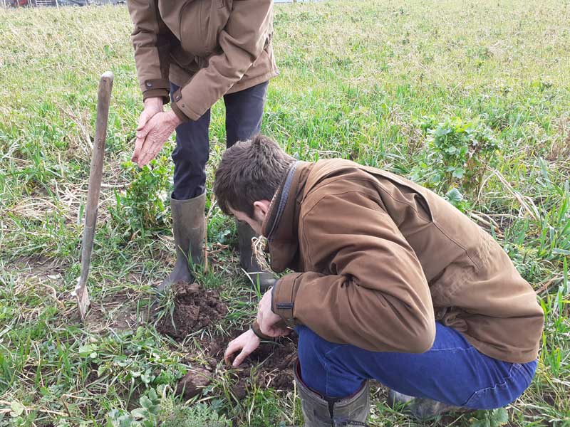 inspecting-soil-brewoodpa