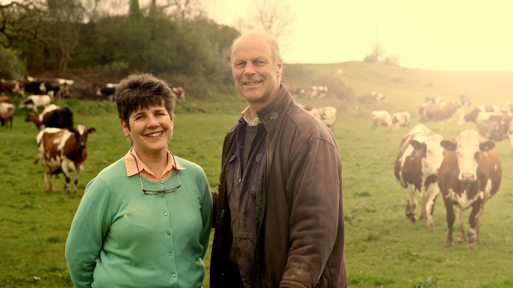 David and Wilma Finlay from The Ethical Dairy, stand smiling in a field of brown and white cows.