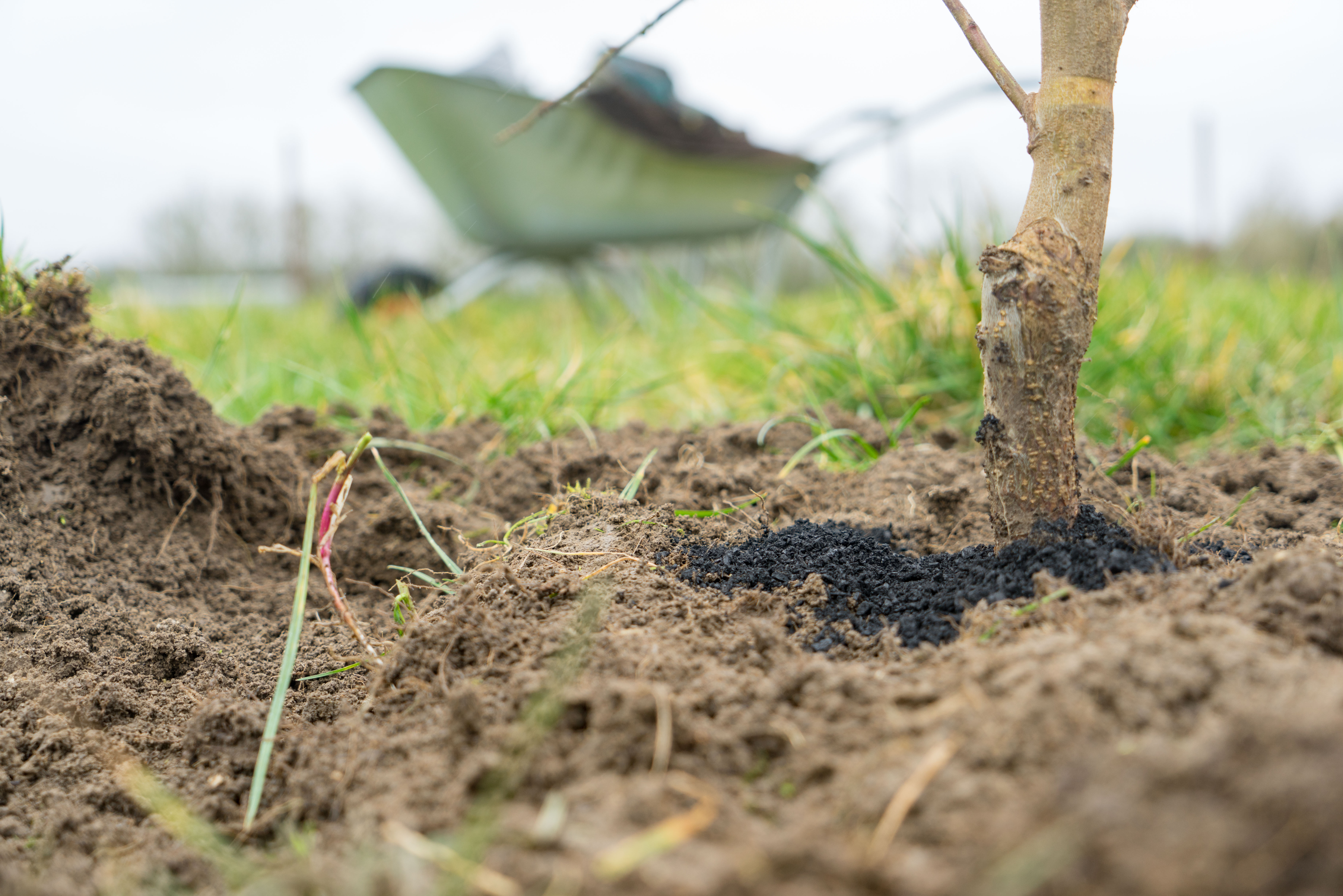 Eastbrook Tree Planting Wheelbarrow Cu Of Root