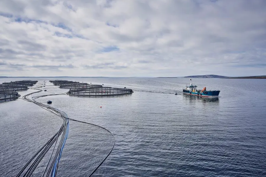 A boat passing a group of sea pens on a salmon farm in Orkney. 
