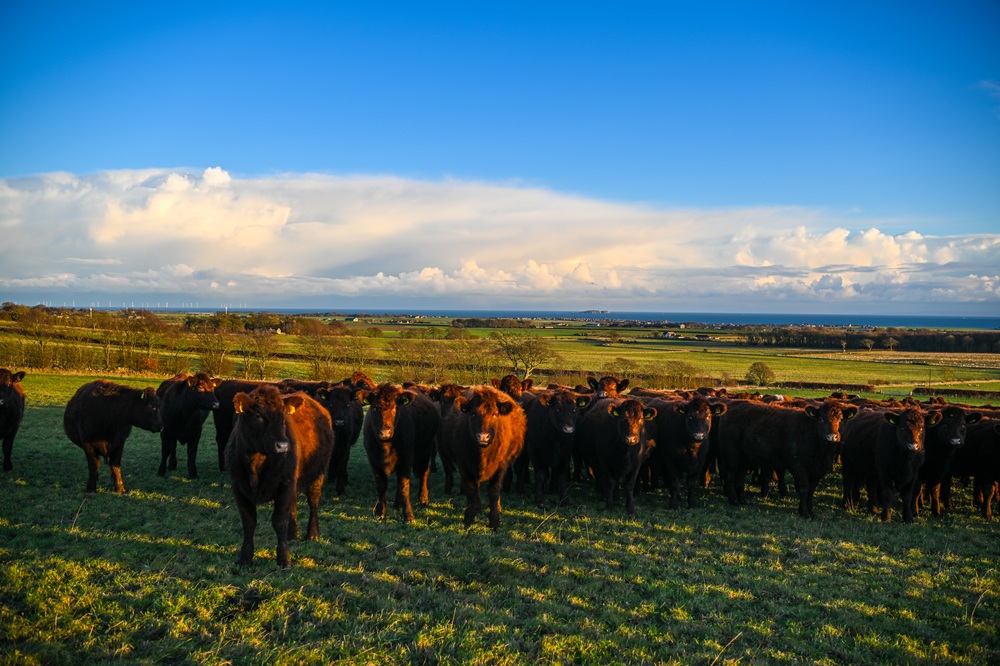 Scottish Organic Gathering 150.jpg