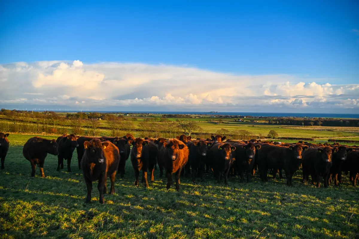 Scottish Organic Gathering 150.jpg